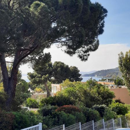 Studio Thalie Bormes-les-Mimosas Exteriör bild