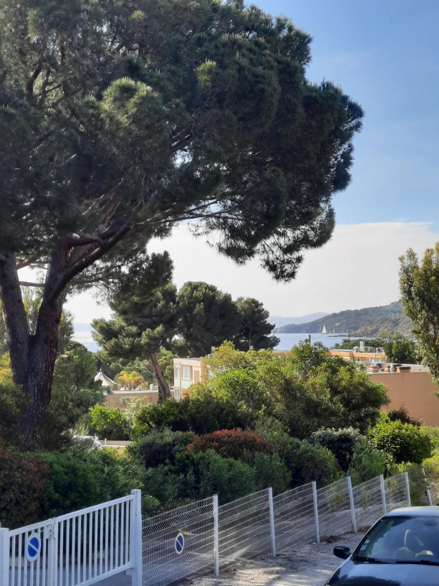 Studio Thalie Bormes-les-Mimosas Exteriör bild